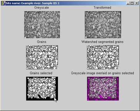 Intermediate stages in the grain-identification procedure