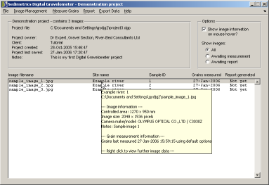 Screenshot of the main program window